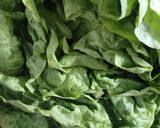 Foto del paso 10 de la receta: Ensalada César