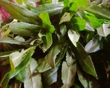 হিঞ্চে শাকের বড়া (hinche shaker bora recipe in Bengali) রেসিপি ধাপ - 1 ছবি