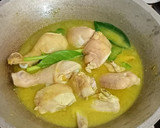 Foto langkah ke 5 dari resep Opor ayam.
