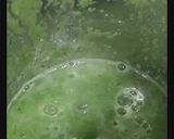 A picture of step 4 of Detox with Aloe Vera.