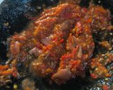 Foto langkah ke 4 dari resep Grilled Tapah River Fish with Signature Nusantara Sambal (ikan tapah bakar & sambal terasi).