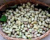 Foto del passaggio 1 della ricetta Marmellata di gelsi bianchi