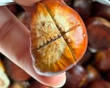 Hình bước làm 1 của món 🌱 Hạt Dẻ (Chestnut) Nướng Lò Điện