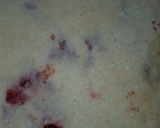 A picture of step 5 of ABCDS Paratha.