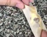 Foto do passo 3 de Trouxinhas de frango