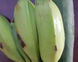 Foto langkah ke 1 dari resep Rujak Petis Cingur.