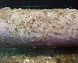 Foto del paso 2 de la receta: Lomo De Cerdo Asado Con Puré De Manzanas