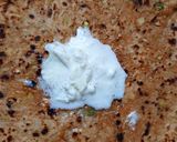 A picture of step 6 of Cauliflower Parantha.