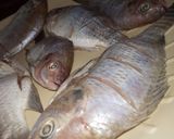 A picture of step 1 of Pepper tilapia fish.