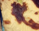 صورة لخطوة 8 من وصفة مكرونه بالباشميل 👌🏻👌🏻🤤