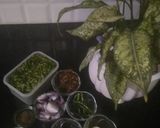 A picture of step 2 of Mint chutney.