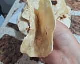 Foto del paso 12 de la receta: Masa de rapiditas/tacos