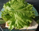 Foto langkah ke 4 dari resep Simple Sandwich.
