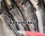 Gambar langkah 1 resipi Cencaru Goreng Kicap Pedas.