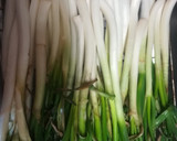 Foto del paso 2 de la receta: Calçots