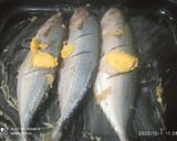 Foto langkah ke 2 dari resep Ikan kembung panggang mentega #43.