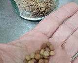 Foto del paso 1 de la receta: Brotes de lentejas al limón 🌱🍋 Germinado de lentejas alimonadas 🌱 🍋