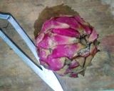 Foto langkah ke 1 dari resep Pancake buah naga HOT.