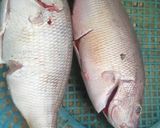Hình bước làm 1 của món Cá sốt cà chua