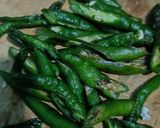 Foto langkah ke 1 dari resep Sayur lodeh kacang panjang tahu.