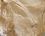 Foto del paso 4 de la receta: Masa danés y su formas