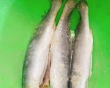 A picture of step 1 of Crunchy fried fish.