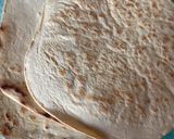 Foto del paso 6 de la receta: Piadinas italianas