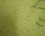 A picture of step 5 of Creamy Spinach Soup.