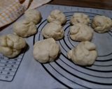 Foto langkah ke 5 dari resep Bakpao.