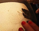Foto del paso 8 de la receta: Croquetas de papa a la Amèlie ♥