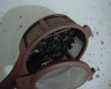 Foto del paso 2 de la receta: Té oolong con hijiki☕🌿