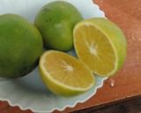 A picture of step 1 of Homemade orange juice.