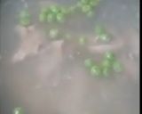 A picture of step 2 of Chicken vegetable corn soup.