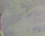 Foto del paso 5 de la receta: Masa para tartas licuada