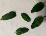 Foto del paso 2 de la receta: Agua de Limón (con Menta y Jengibre)