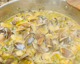 Foto del paso 3 de la receta: Almejas en salsa verde 🌿 🥃 🧄 🌿
