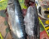 صورة لخطوة 2 من وصفة بونيط 🐟 في الفرن بالصلصة الأصلية 🍲