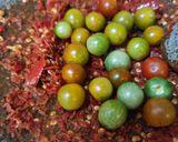 Foto langkah ke 4 dari resep Ikan Nila Goreng Sambal Dadakan.