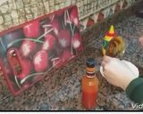 صورة لخطوة 9 من وصفة الفراخ الستربس المقرمشه والارز الريزو وكمان الصوص الخطير