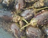 A picture of step 9 of Stuffed eggplant.