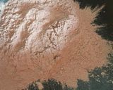 Foto del paso 1 de la receta: Pudín de chocolate fácil