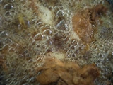 Ayam Goreng Baceman