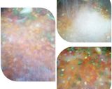 Foto del paso 3 de la receta: Arroz precocido con verdura