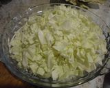 Foto del paso 1 de la receta: Guiso de Repollo