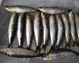 Foto del paso 2 de la receta: Sardinas al horno 🐟