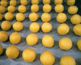 Foto langkah ke 4 dari resep Kue putri salju.
