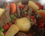 Foto del paso 3 de la receta: Estofado de Carne con Papas!!!
