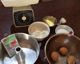 Foto langkah ke 1 dari resep Cake Nutrijell chocolava (Chocolate Guava).