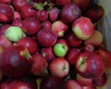 Foto del paso 2 de la receta: Lomo con manzanas y algo más