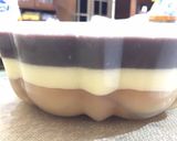 Foto langkah ke 3 dari resep Puding Regal 3 lapis.